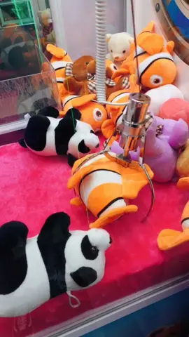 🤦‍♀️🤦‍♀️🤦‍♀️