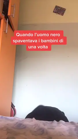 La persona dopo la la @ in realtà è l’uomo nero #foryou #comic #ironia #foryoupage #verità