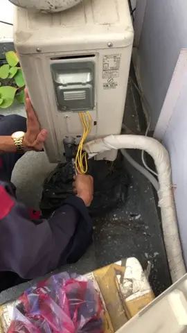 tết đến nơi rồi ôi giời giời ơi
