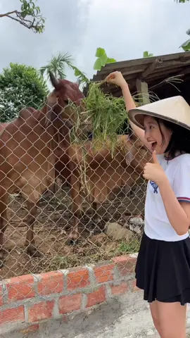 chào các bạn mình là gái quê đây