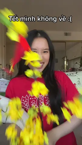 Tết ở Mỹ…