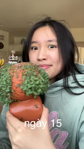 chừng nào các bạn nghỉ hè?