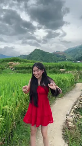 ava mới hihi