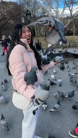 có bao nhiêu con ha?