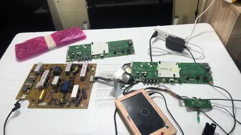 Test boar chuẩn bị ra chiến trường