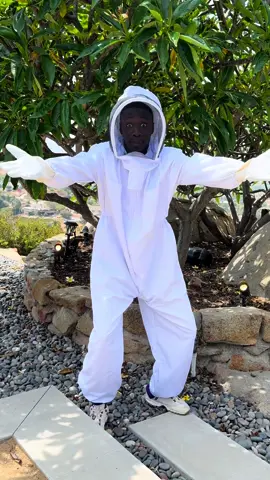 Try it this way , let me know if you get stung 🤲🏾#learnfromkhaby #comedy #bee
