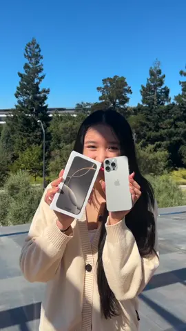 Quả táo 16
