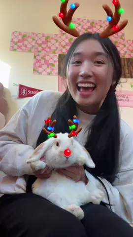 bambi yêu