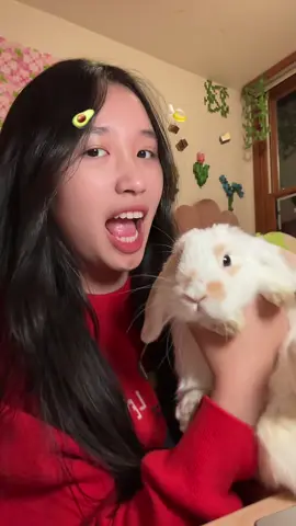 thỏ thiệt hay đồ chơi 😁 (dc @Anh Chủ OTea )