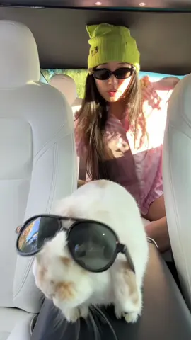 rạp xiếc jenny và bambi
