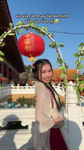 các bạn được bao nhiêu bao lì xì rồi?