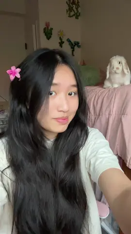 Biến hình sến sến