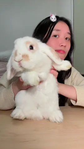 bài này quá là tuổi thơ 🥹 (dc@Clem )