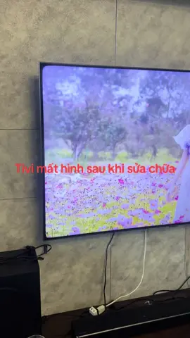 Tivi mất hình sau khi sửa chữa
