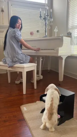 khi thò chỉ hiểu tiếng anh 😭
