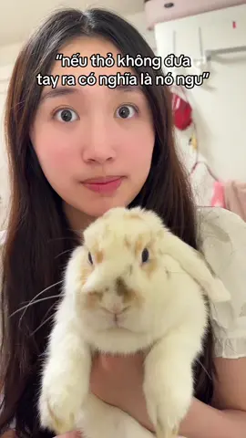 Nó IQ cao hay thắp ha 🥹